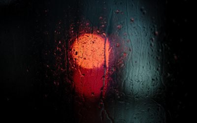 Курс на интернационализацию поставлен на паузу