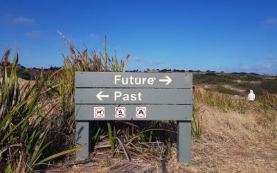 Учеба против диктатуры