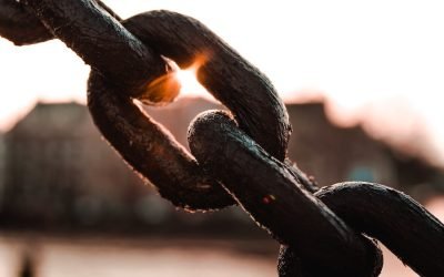 Где защитить академическую свободу