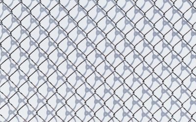 Идеологическая вертикаль власти