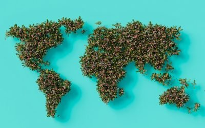 From the Personal to the Global